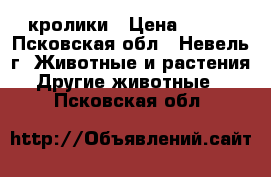 кролики › Цена ­ 500 - Псковская обл., Невель г. Животные и растения » Другие животные   . Псковская обл.